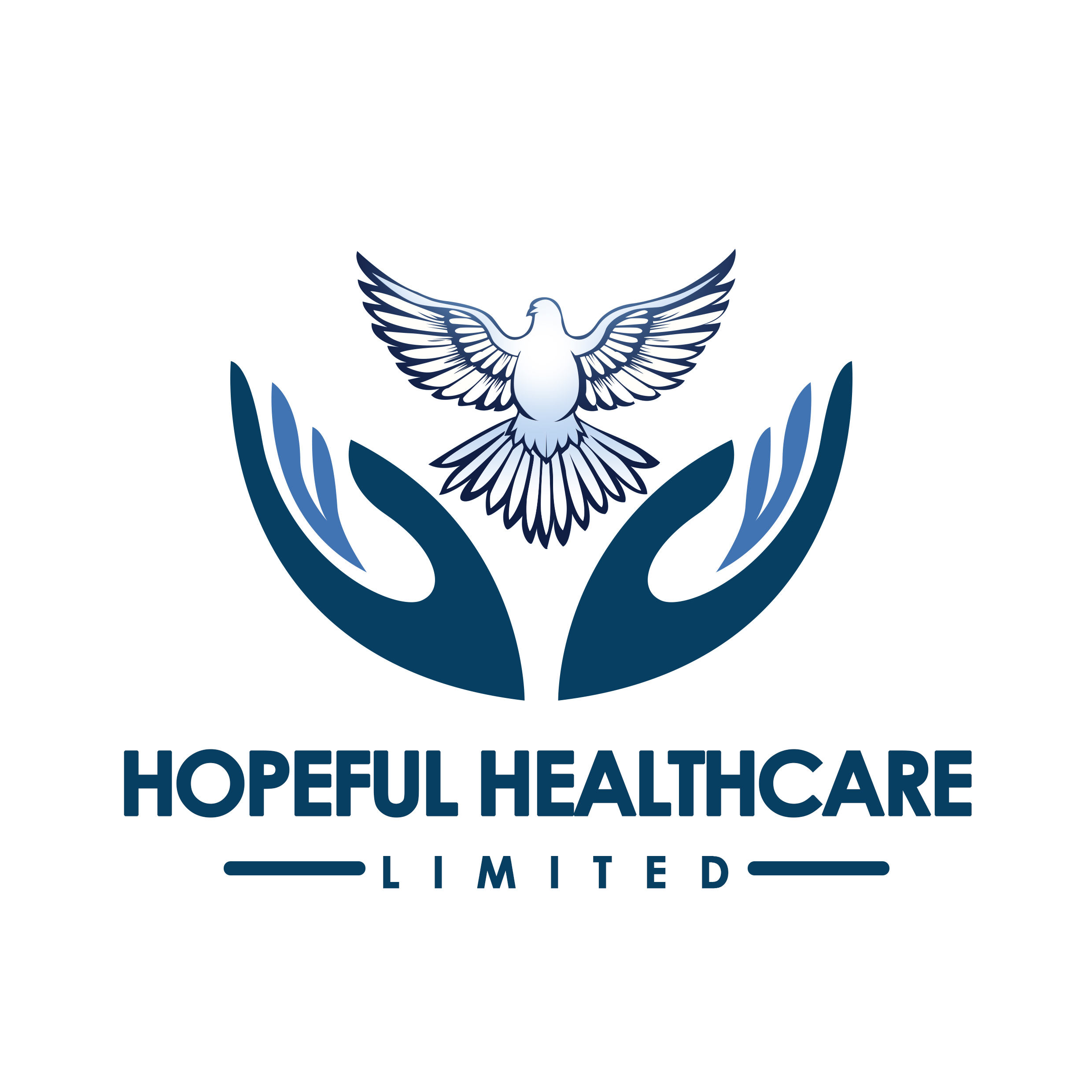 HOPEFUL HEALTHCARE LIMITED